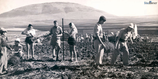 The_Backdrop_Of_Jewish_Settlement-_The_Early_Aliyot_600x300